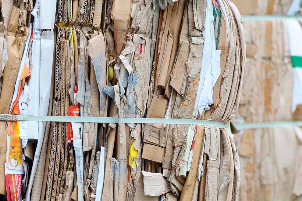 STE Waste Management Cardboard Recycling 1