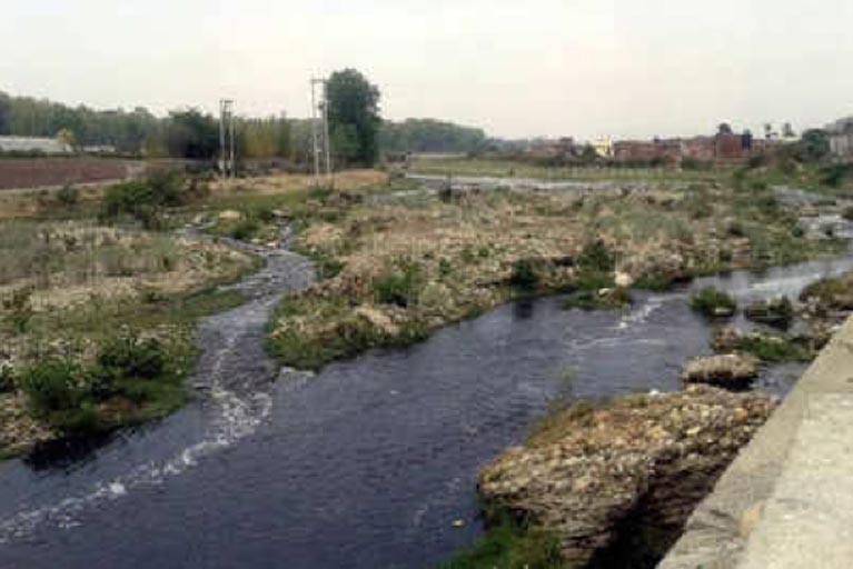 dirtiest river in the world river tame denton 1